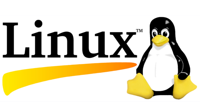 Linux遇到資料夾權限問題